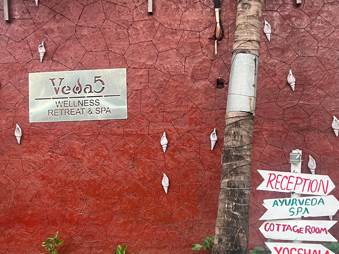 Veda5 Wellness Retreat & Spa主图