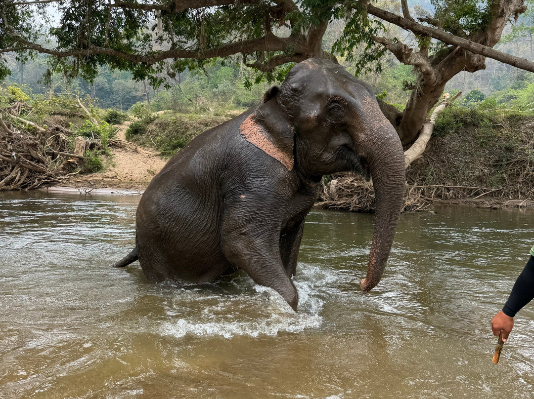 New Elephant Home-Kuet Chang必去景点