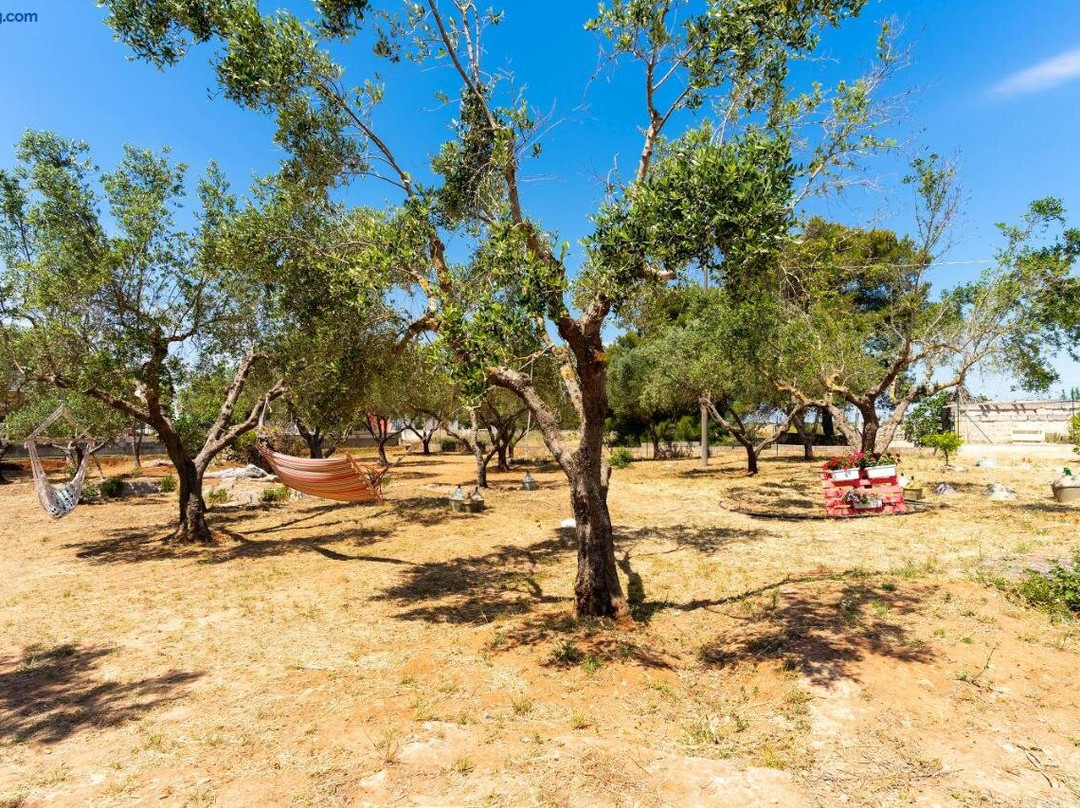 San Marzano di San Giuseppe酒店住宿-B&B L'Albero d'Oro