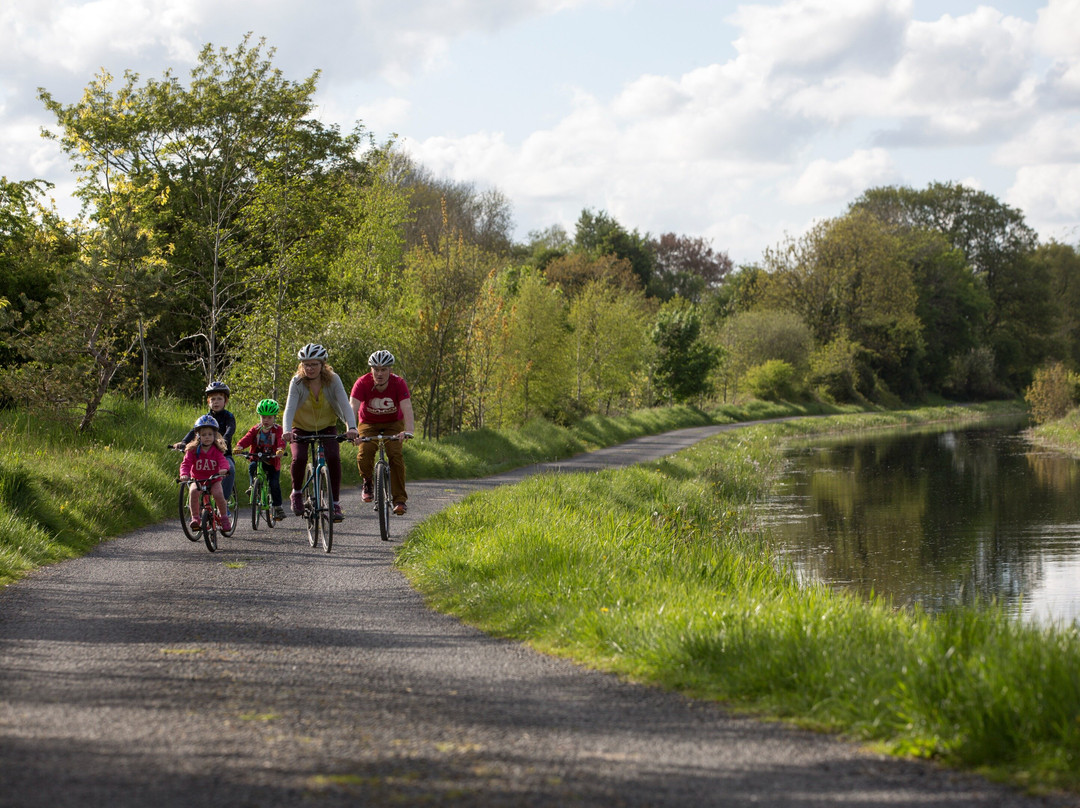 Grand Canal Greenway Bike Hire