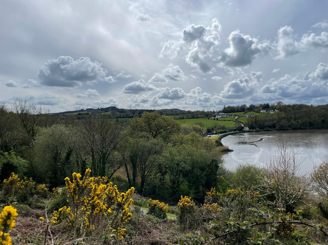 Irish heritage centre Wexford Ireland景点图片