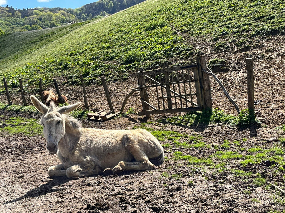 Le Parc Animalier ETXOLA-Sare必去景点