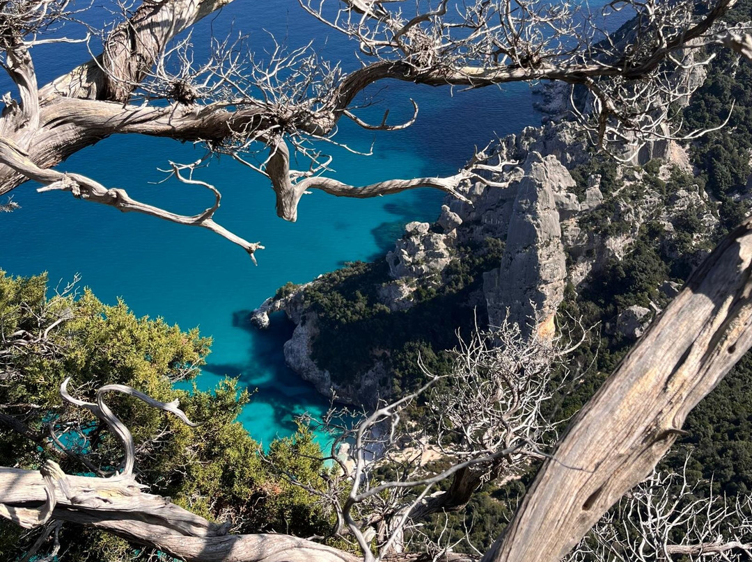 Jebel Sardinia-奥罗塞必去景点