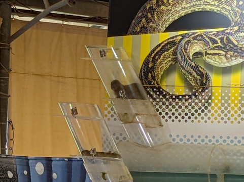 玉泉洞-南城市必去景点