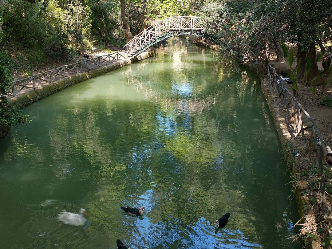 Rodini Park-罗德斯必去景点