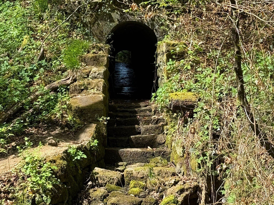 Mullerthal Trail-Mullerthal必去景点
