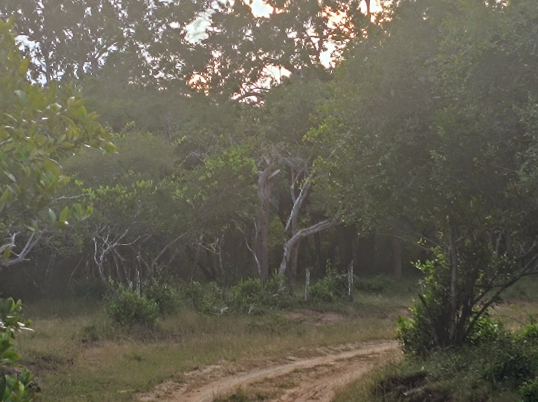 Safari Panama Sri Lanka-Panama必去景点