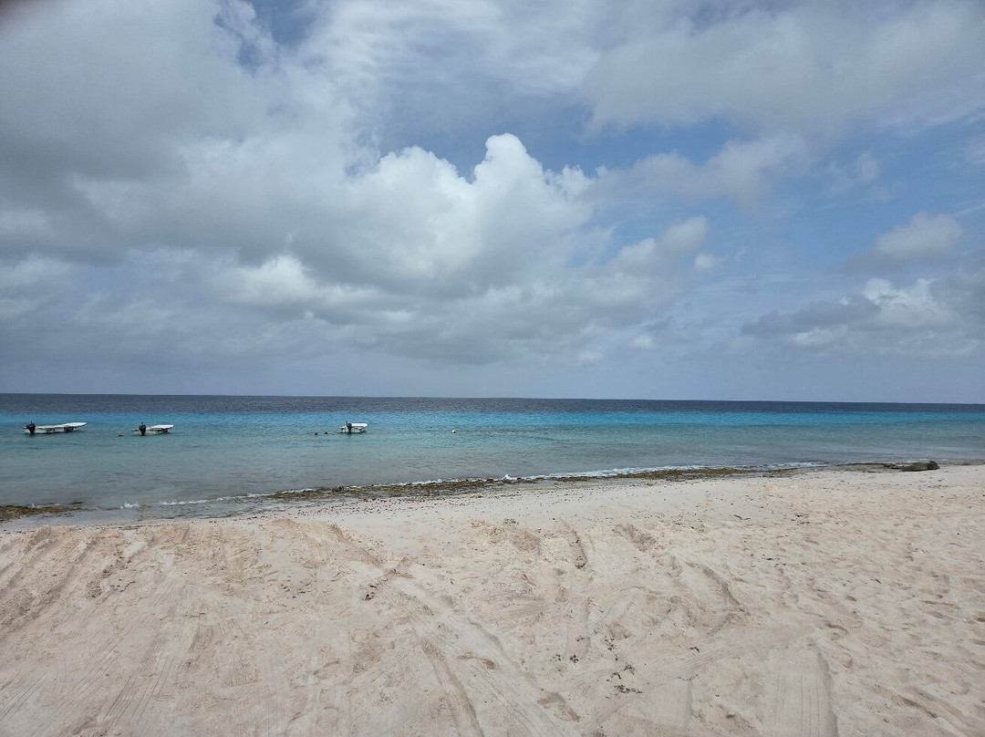 Scooters Bonaire-Kralendijk必去景点
