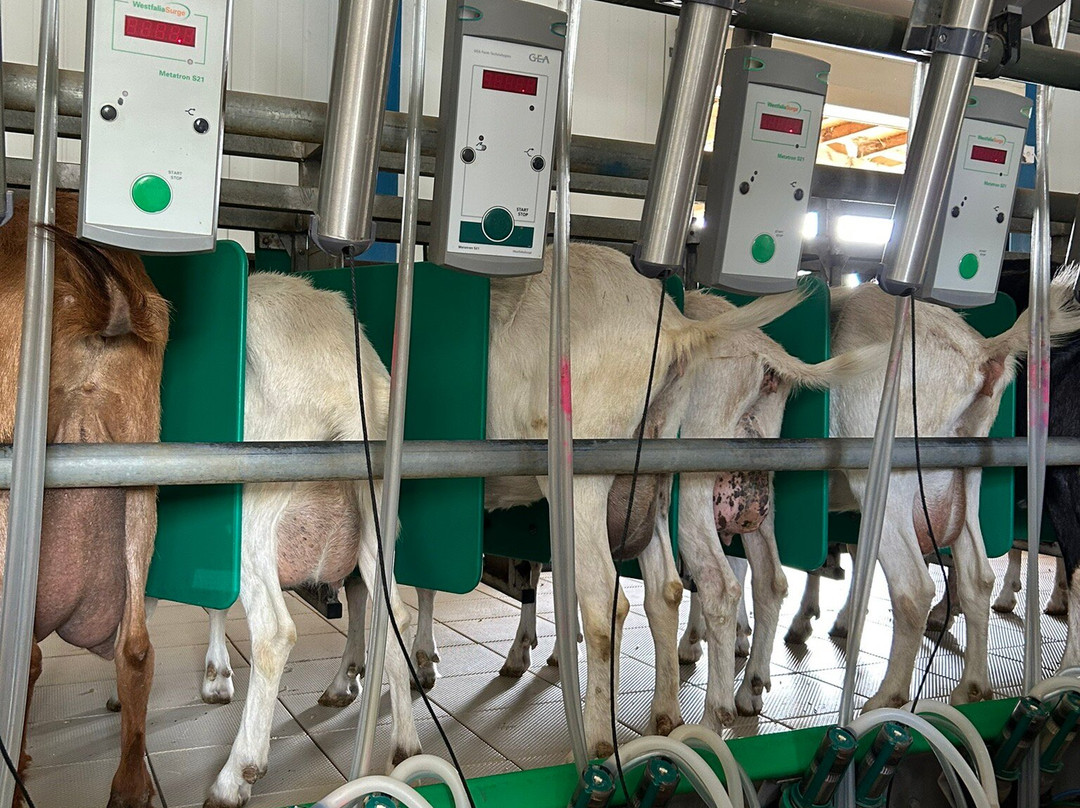 Riverland Bio Farm-尼科西亚必去景点