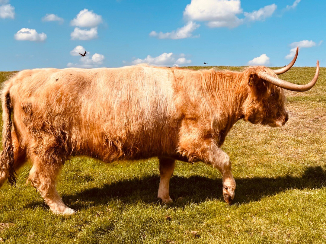 Smeaton Farm主图