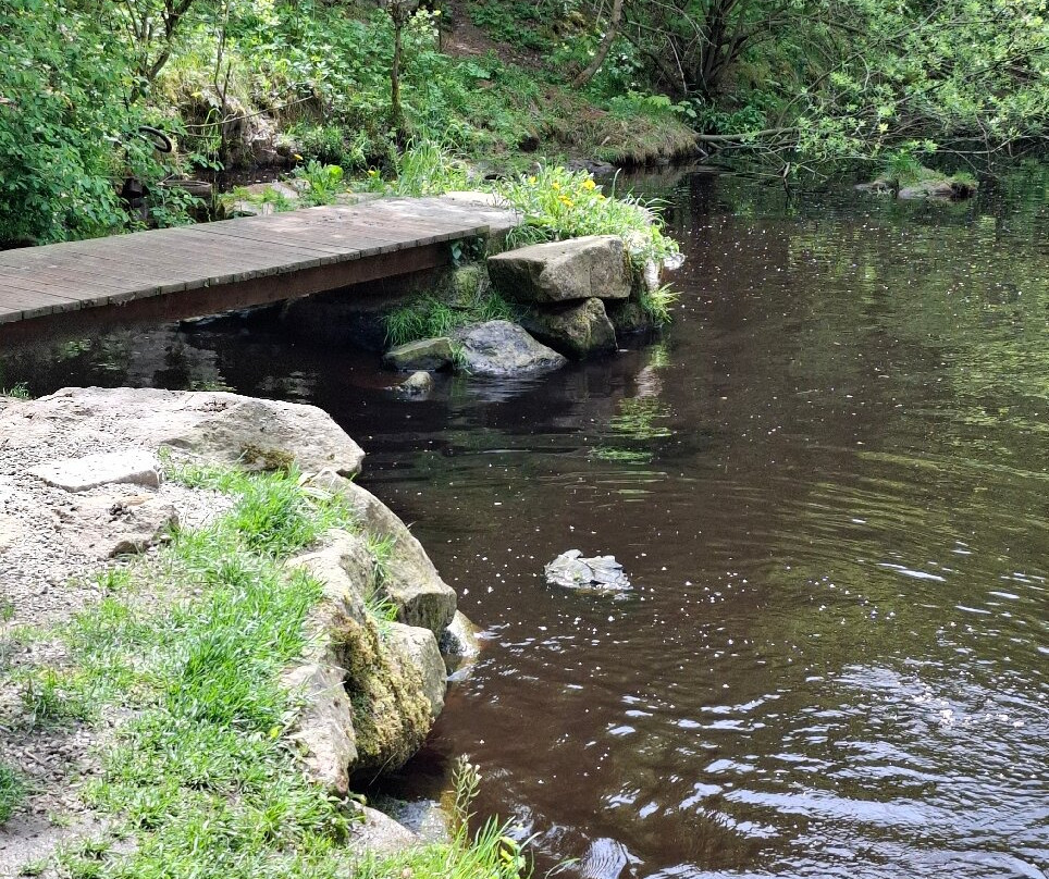 Naturpark Hochmoor UnterWasserReich Schrems-Schrems必去景点