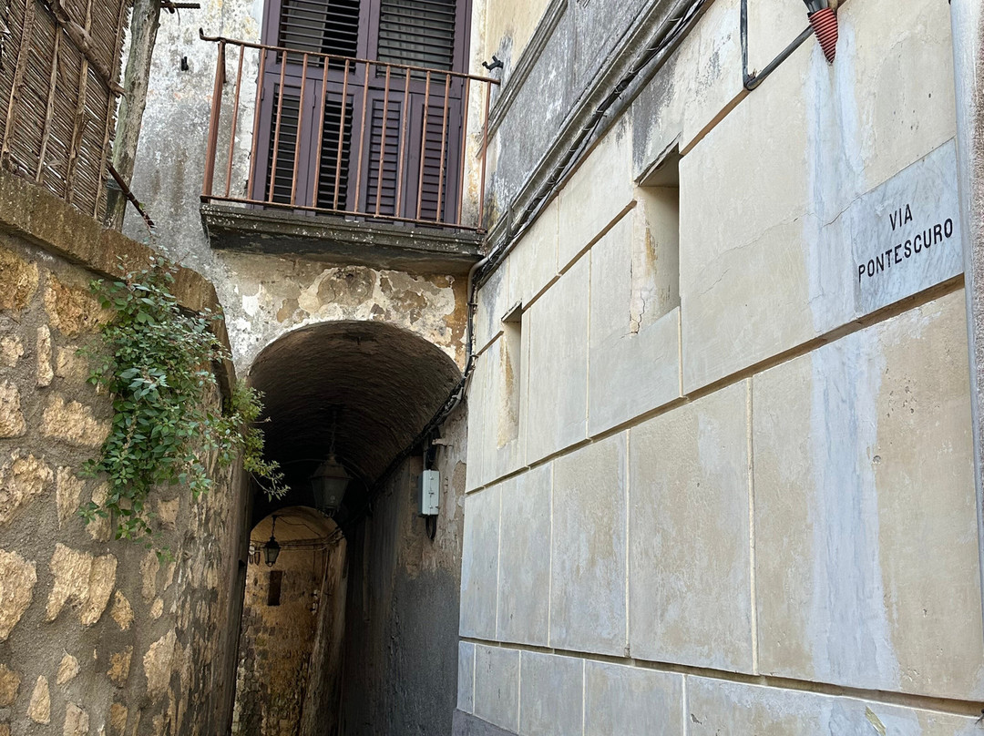 Azienda Agrituristica Il Turuziello景点图片