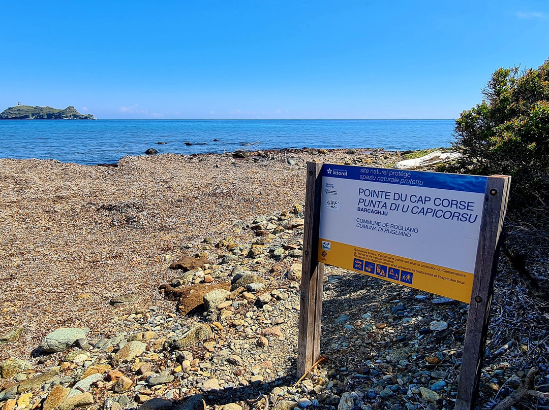 Plage de Barcaggio-Rogliano必去景点