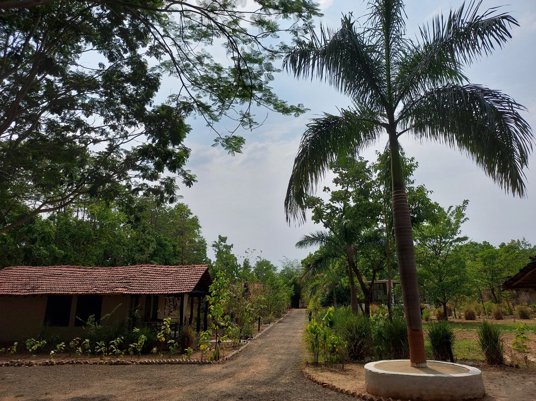 Kanha Jungle Resort主图