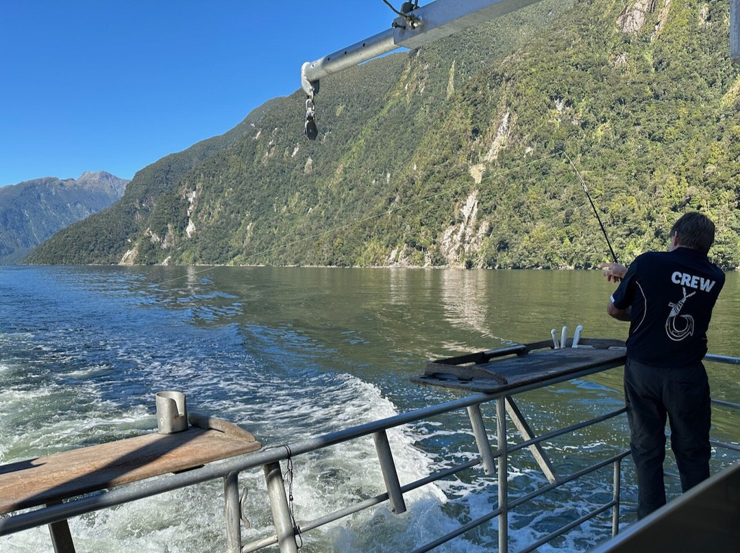 Fiordland Expeditions - Doubtful Sound Overnight Cruises & Multi Day Charters-马纳普里必去景点