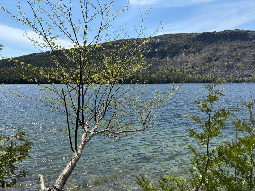 Jordan Pond Trail-巴港必去景点