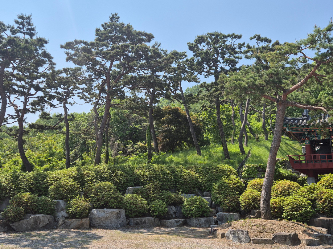 Hwangryongsa Temple-世宗市必去景点