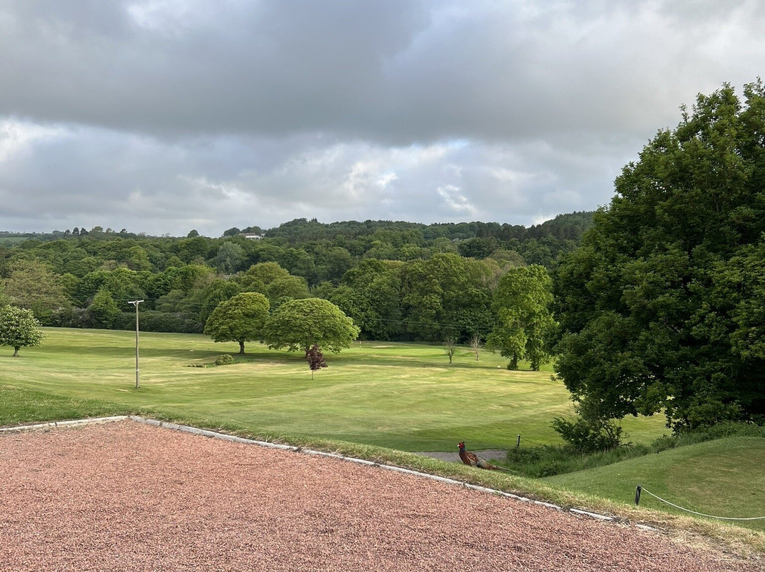 Beamish Park Golf Club-Stanley必去景点