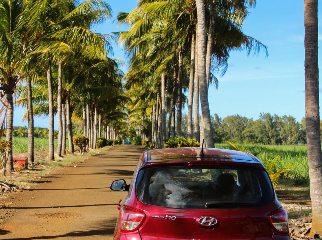 Seychelles Rentacar-维多利亚必去景点