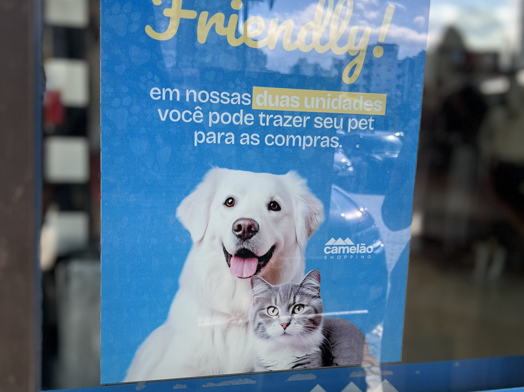 Shopping Camelao Sao Jose景点图片