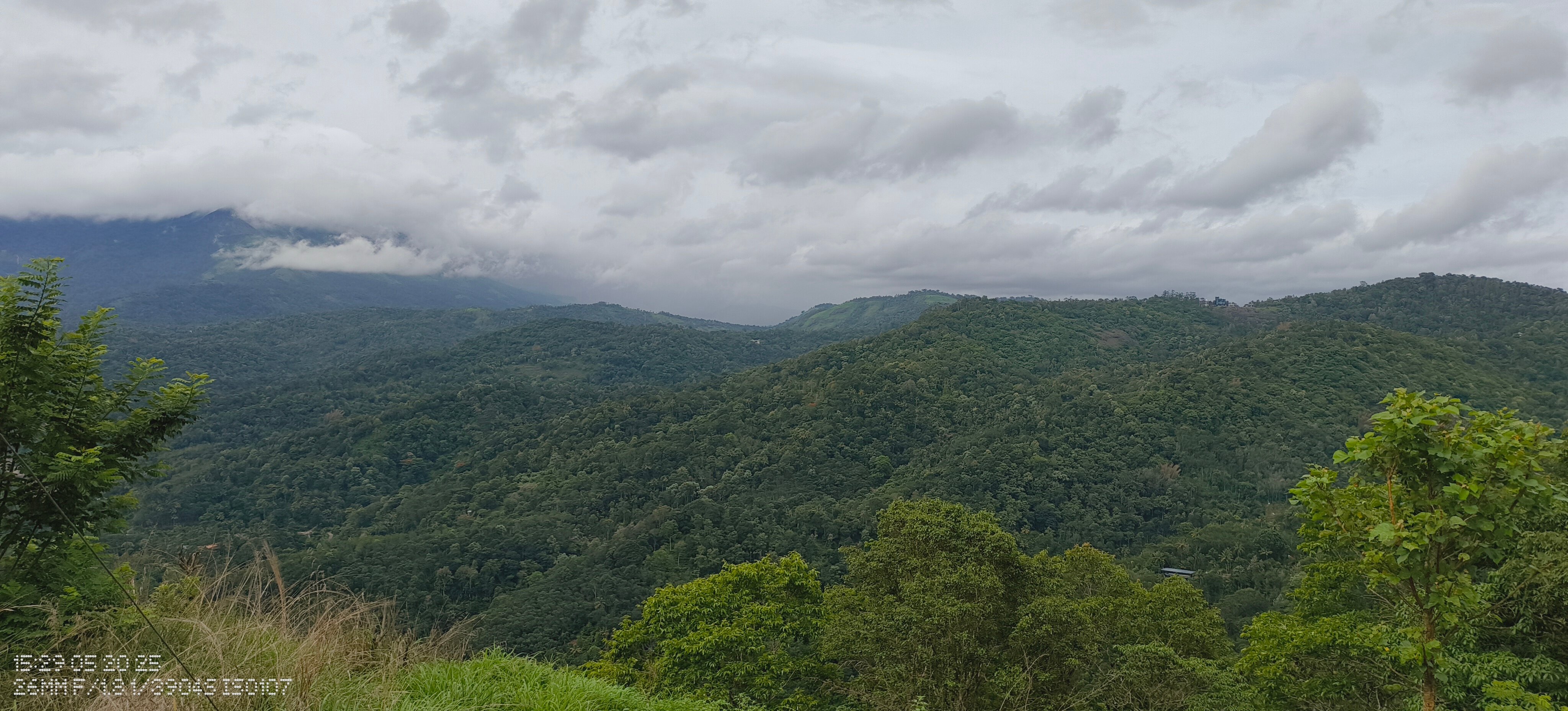 The Munnar Queen-官方