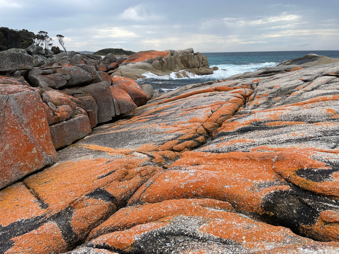 Jeanneret Beach-Binalong Bay必去景点