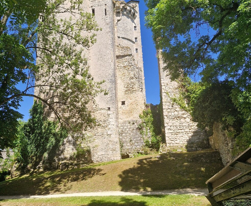 Château de Mehun-sur-Yèvre-Mehun-sur-Yevre必去景点