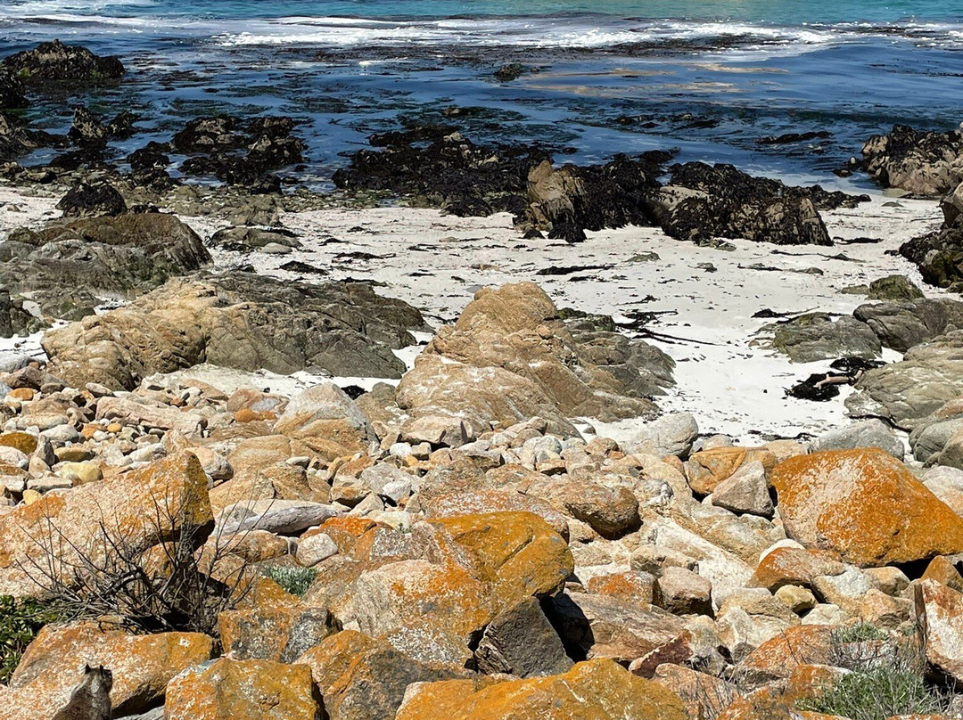 Bird Rock Vista Point景点图片