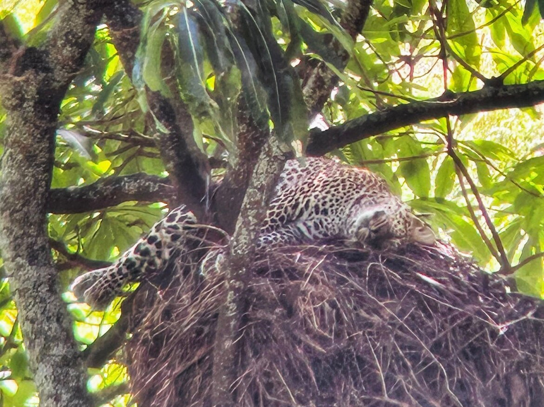 One-way Tours and Safaris-姆万扎必去景点