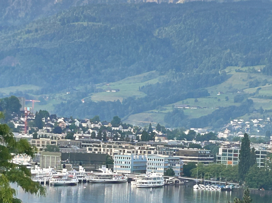 Hotel Royal Lucerne主图
