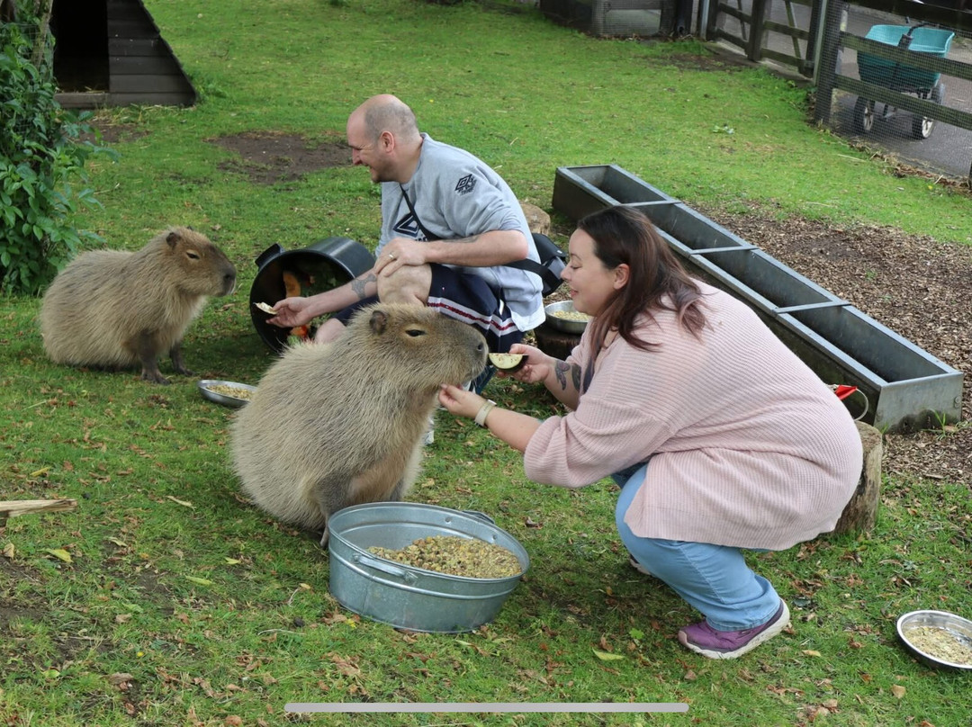 Shepreth Wildlife Park景点图片