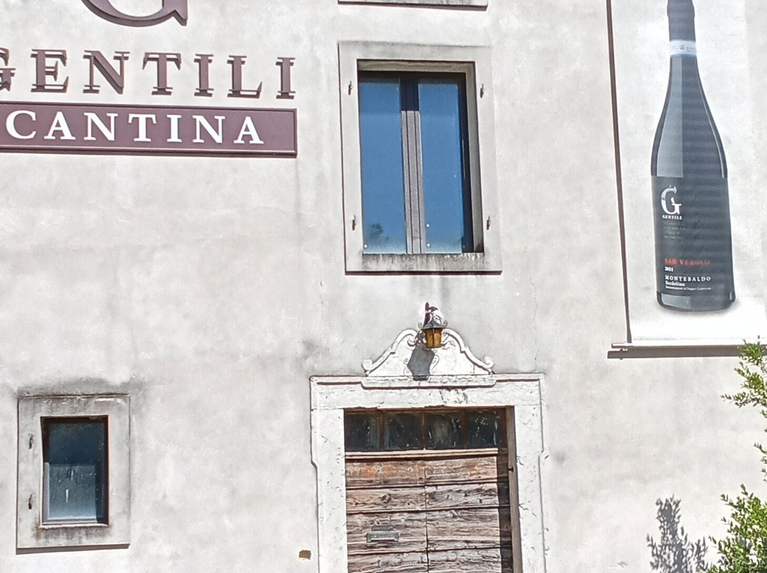 Cantina Gentili - Sinceramente vino景点图片