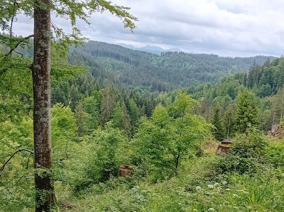 Allgäu Residenz Nature & Spa