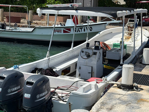 Puerto Aventuras Water Sports-阿范特拉斯港必去景点