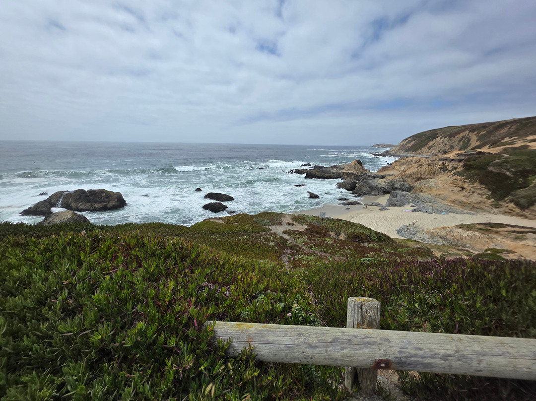 Bodega Head景点图片
