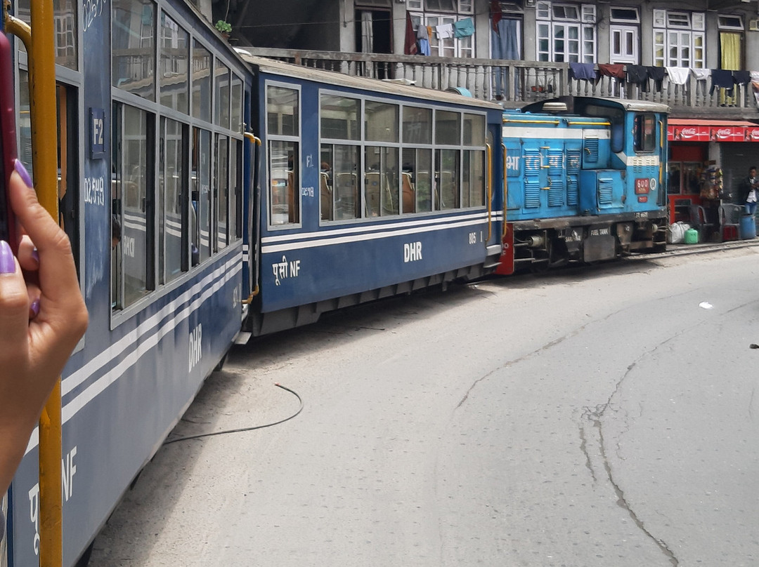 Darjeeling Toy Train Maybe Cancelled-大吉岭必去景点