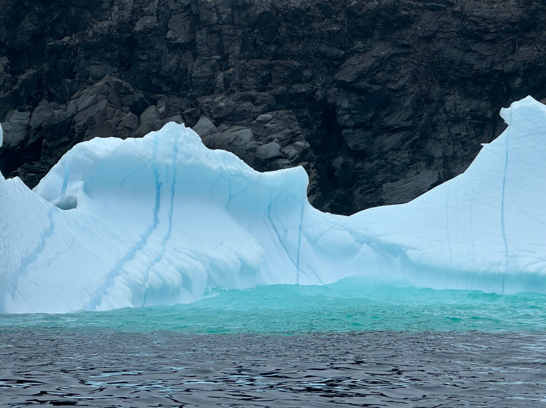 Iceberg Alley Boat Tours-St. Anthony必去景点