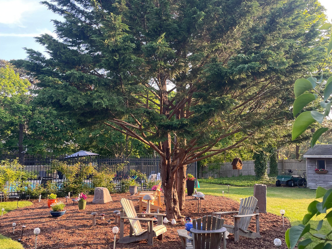 Chatham Seafarer Inn主图