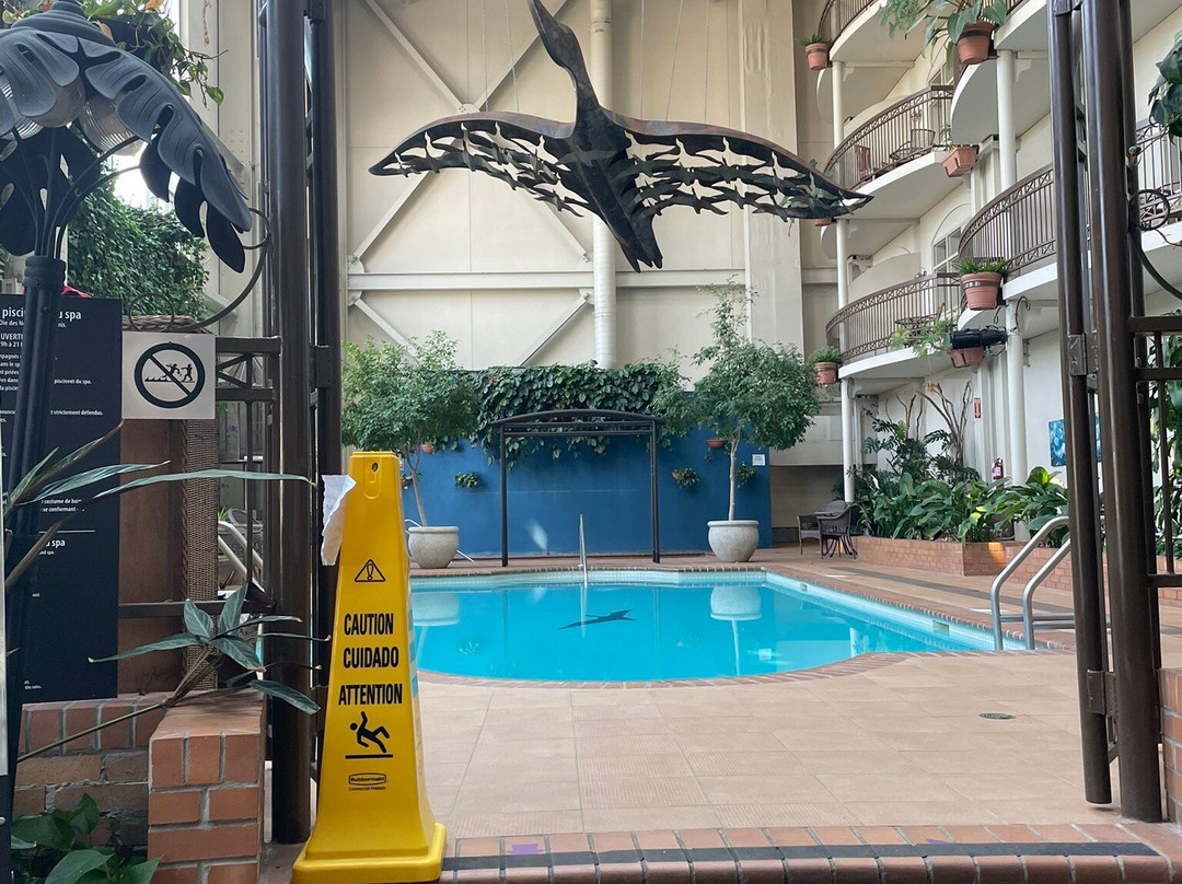 Hôtel L'oie Des Neiges主图