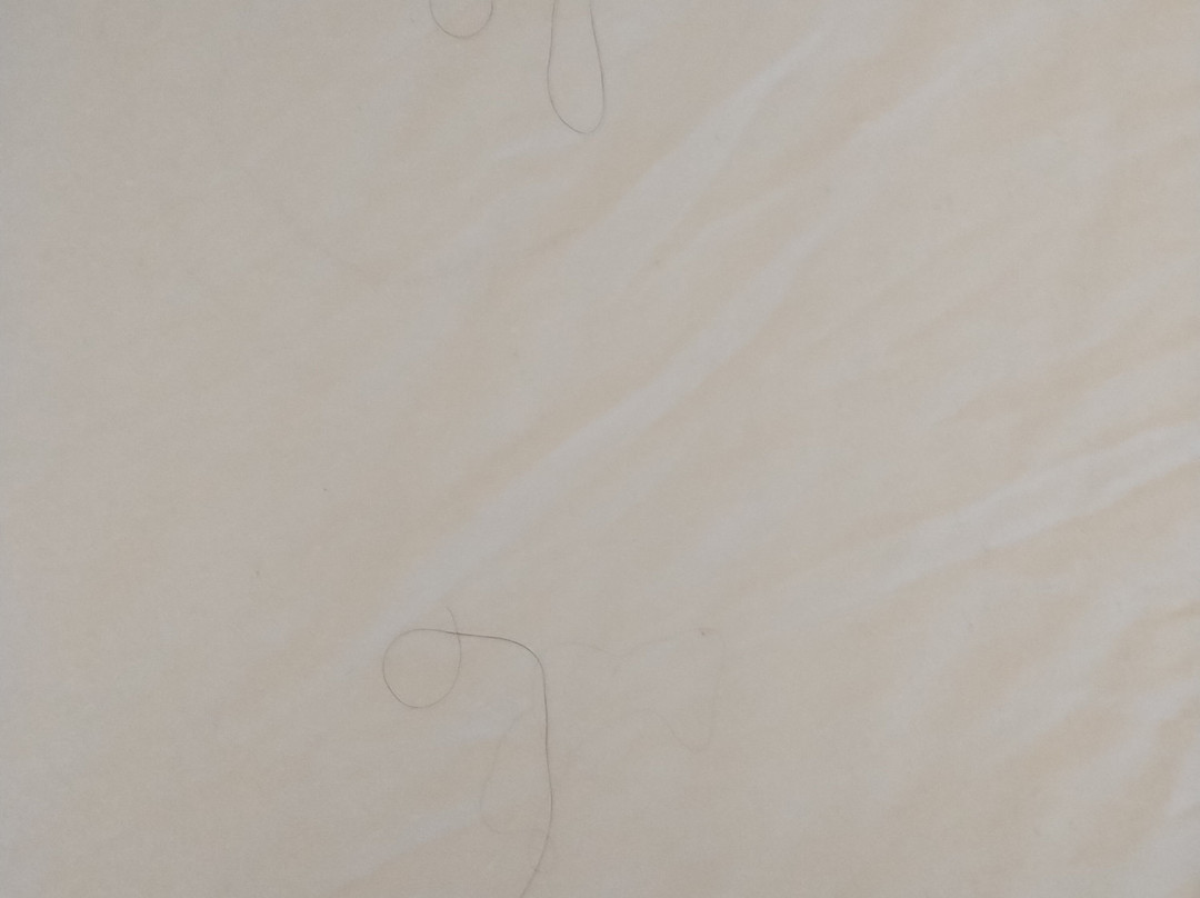 Days Inn by Wyndham Brampton主图