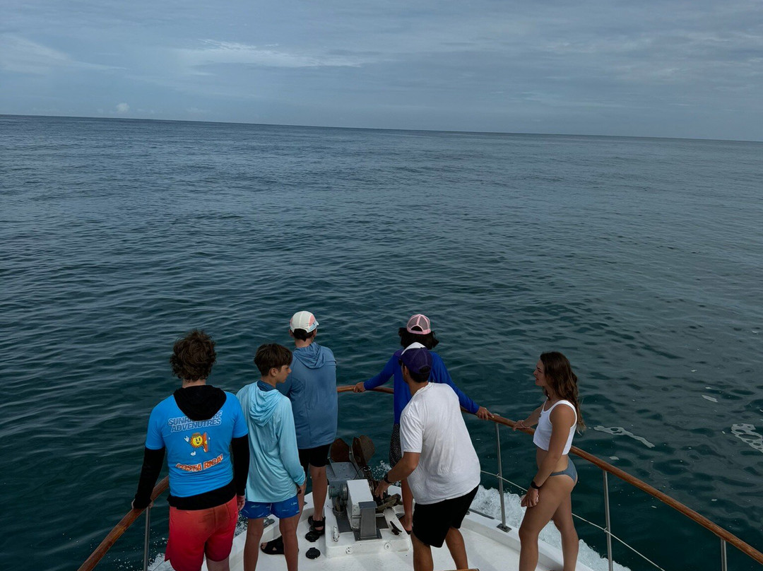 Mr Pelicano Boat Tours景点图片