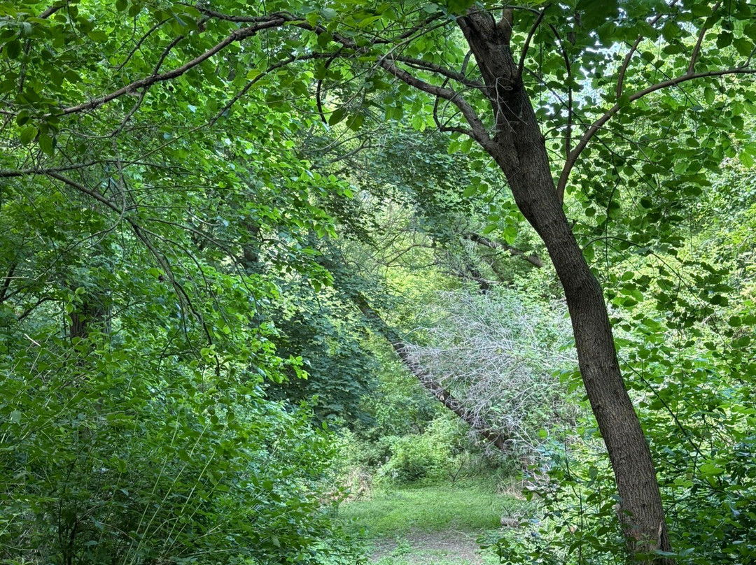 The Mulberry House on the Grand主图