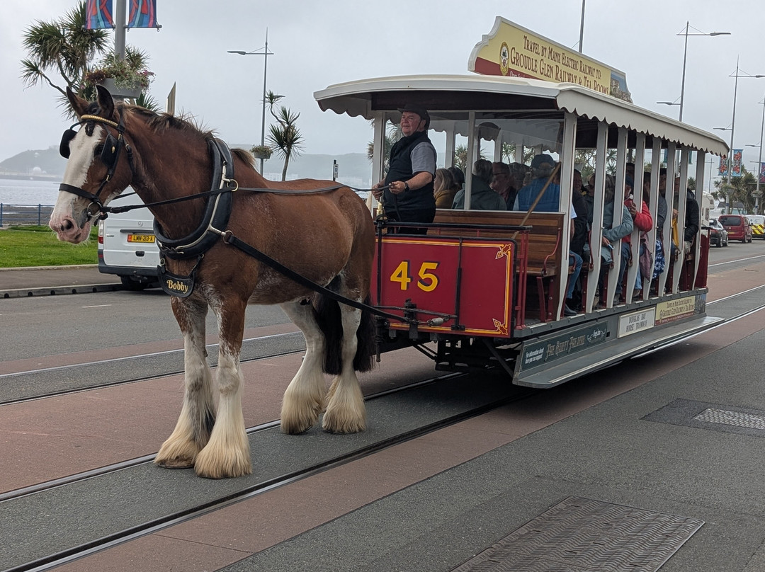 Douglas Bay Horse Tramway-Douglas必去景点