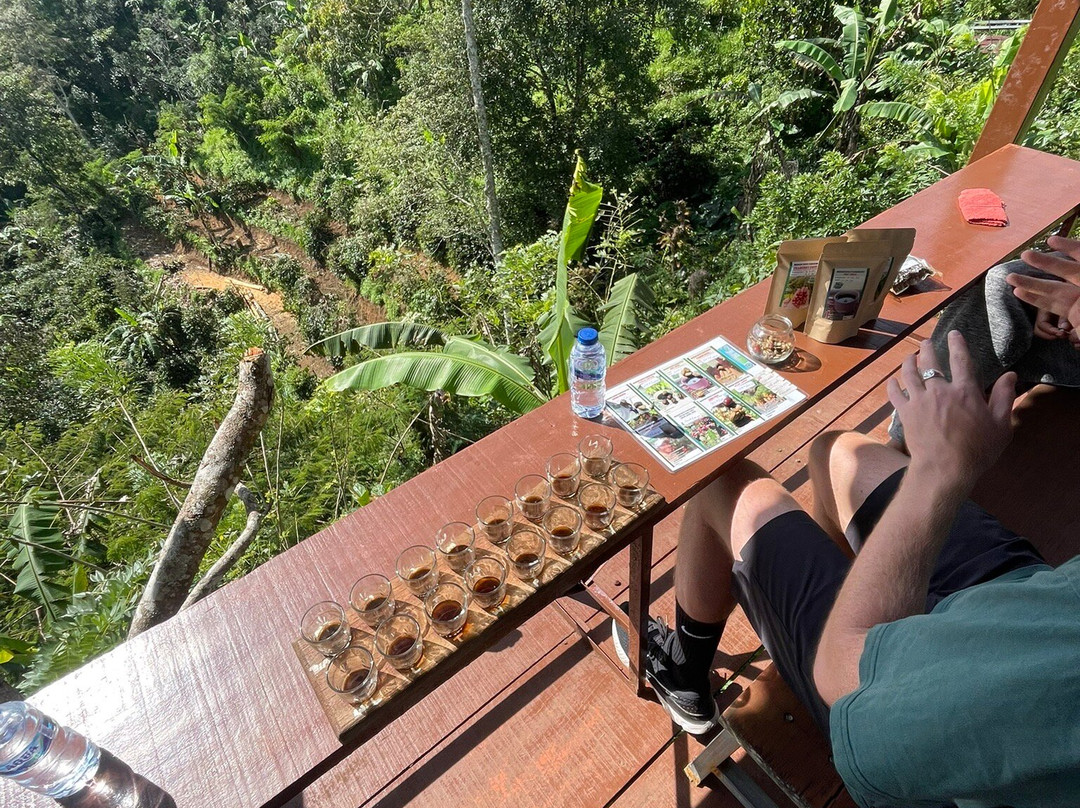 Wanagiri Coffee Plantation Bali And Luwak Coffee-Wanagiri必去景点