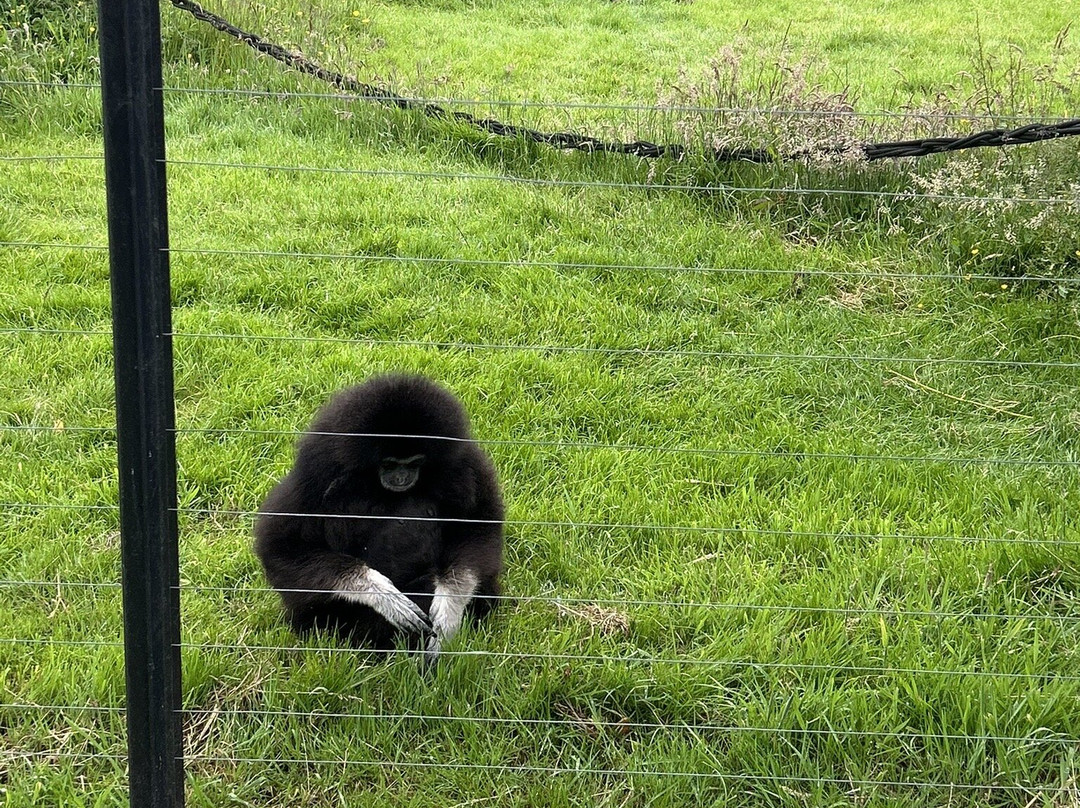 The Lake District Wildlife Park景点图片