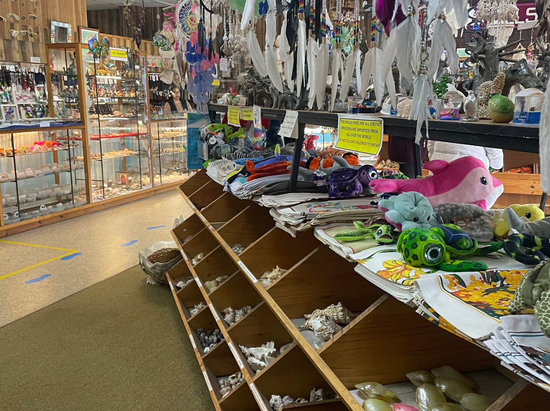 Griffiths' Sea Shell Museum & Marine Display-莱克斯恩特伦斯必去景点