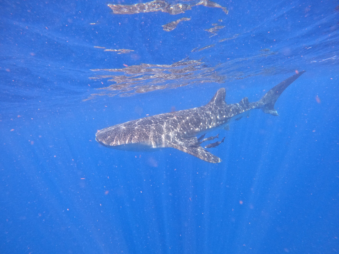 IMSEARENA-女人岛必去景点