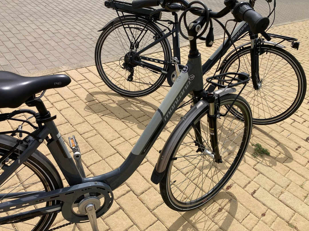 ON TRACK Your Bike Store-法罗必去景点