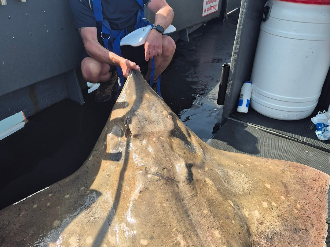 Moray Firth Fishing Charters-Burghead必去景点