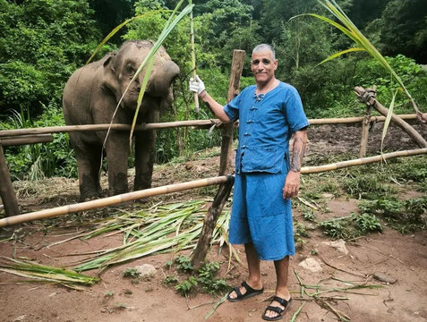 Smile Elephant Chiang Mai-夜登必去景点